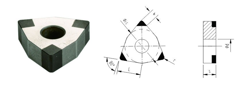 FBK-WNGA-1.jpg