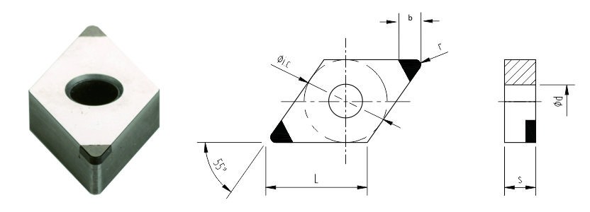 FBK-dnga-1.jpg